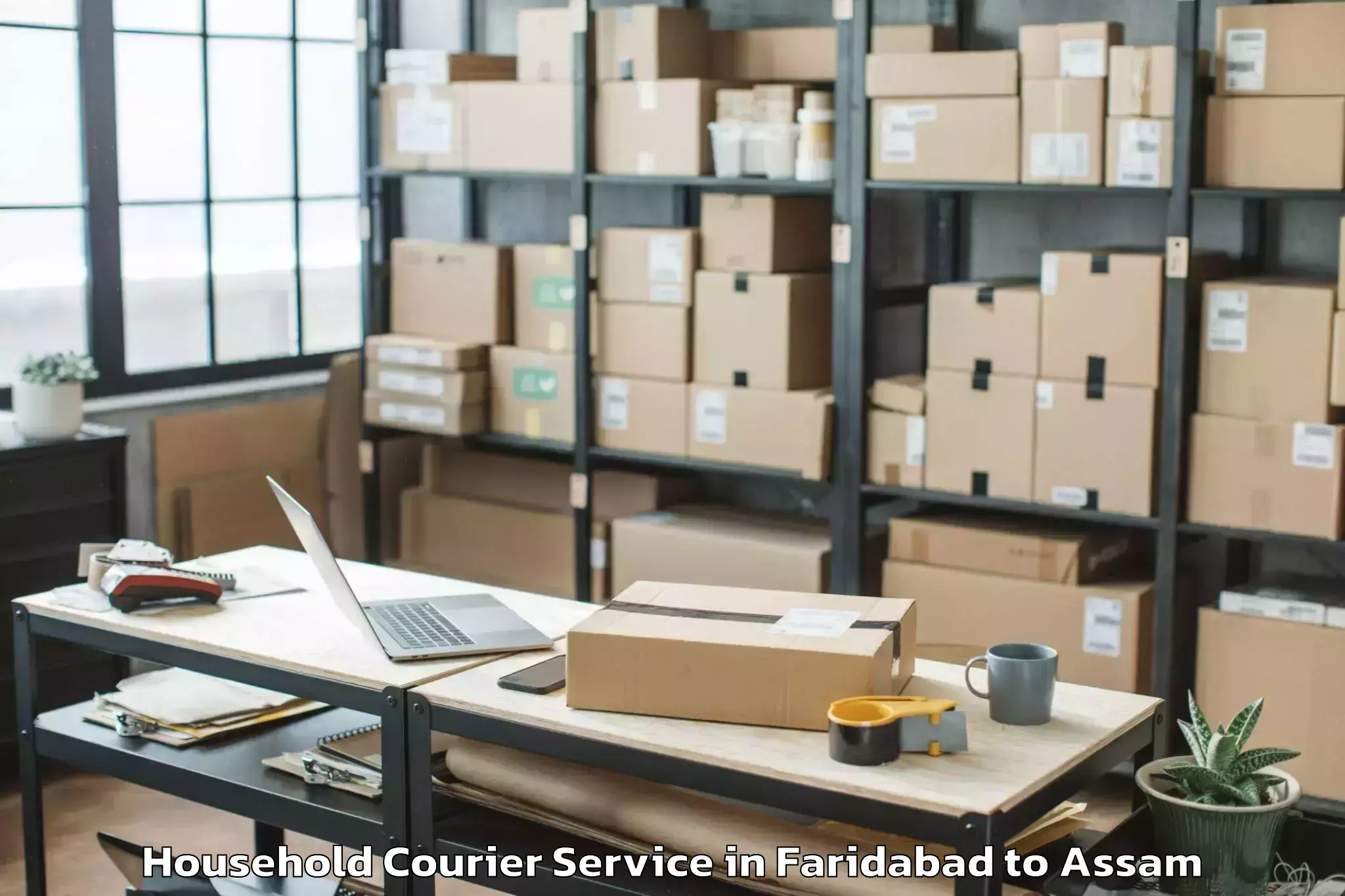 Trusted Faridabad to Tezpur University Tezpur Household Courier